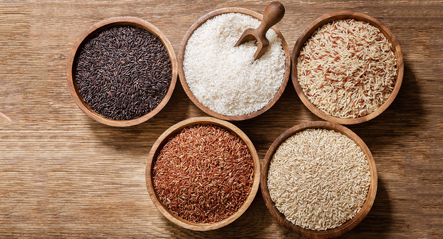 rice exporters in india